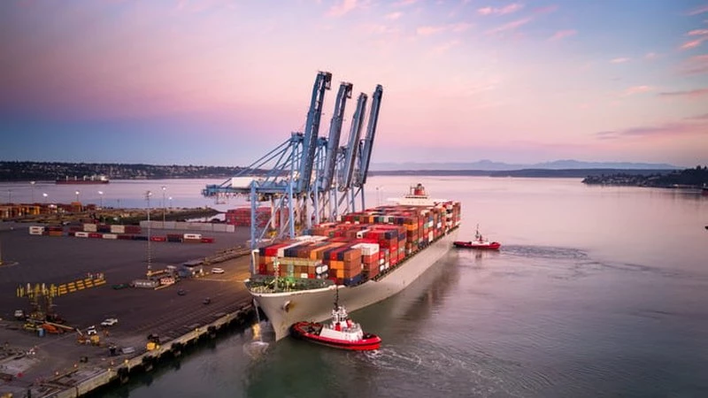 Overcapacity Fears Evaporate as Carriers Hunt Available Tonnage Amid Hormuz Disruption