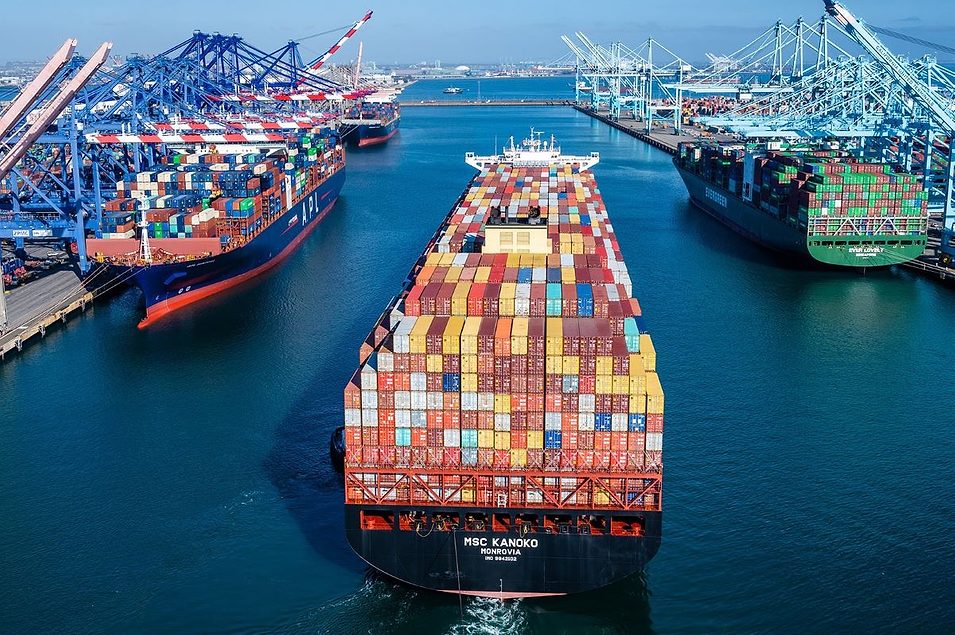 CBP Starts Voiding Faulty IOR Numbers: What Importers and Freight Forwarders Need to Do Now
